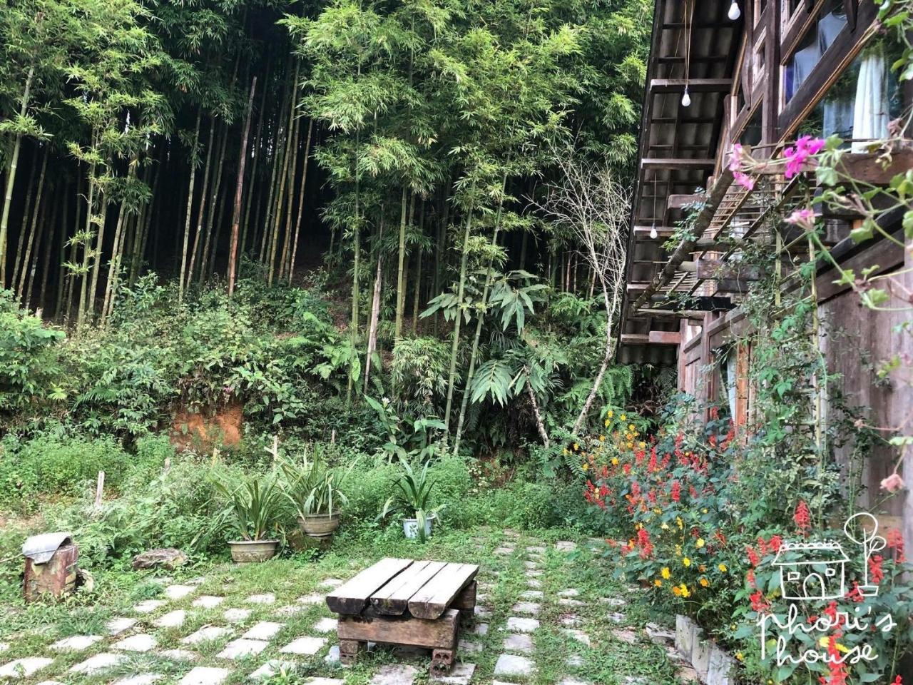 סא פה Phori'S House - Bamboo Forest מראה חיצוני תמונה
